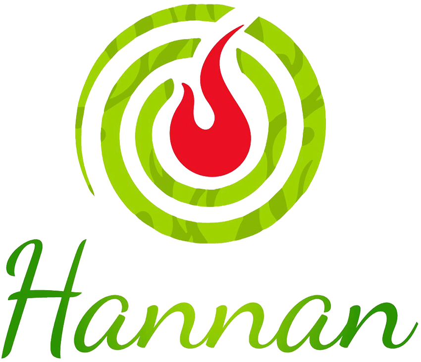 Hannan world logo
